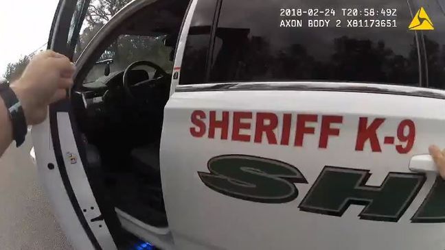 A K-9 deputy with the Pasco Sheriff's Office caught a fleeing suspect. (Pasco County Sheriff){p}{/p}