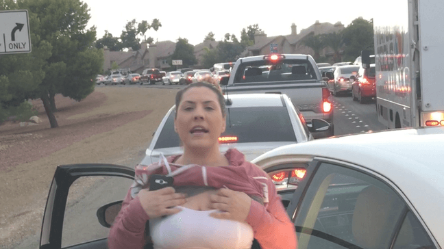 This hit-and-run flasher has been arrested by the Nevada Highway Patrol. She is accused of exposing herself and screaming profanities at a Las Vegas family. (Courtesy Adrian Rodriguez)