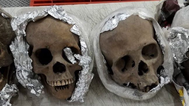 FILE - Mexican authorities uncover human skulls at airport in package headed for South Carolina. (Photo: Mexican National Guard)