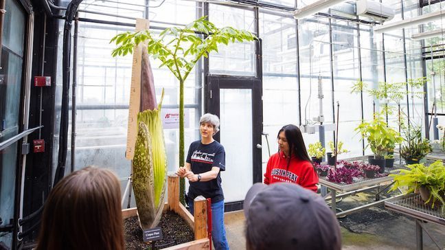 Students discuss the corpse flower at Austin Peay State University's greenhouse in Tennessee. (Photo: Austin Peay State University)