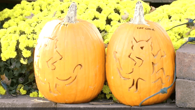 About 1,000 volunteers helped to carve the pumpkins this year. The goal for 2016 was to carve 3,000 pumpkins. (WCHS/WVAH)