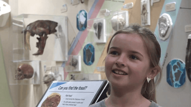 A 9-year-old Maryland girl, Molly Sampson, is taking pride in her once-in-a-lifetime discovery after finding a Megalodon shark tooth on a Calvert County Cliffs that experts say it’s 15-million-years -old. (Photo: WJLA)