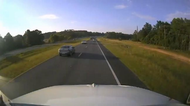 VIDEO: Driver stopping for turtle causes chain reaction crash in Florida (Walton County Sheriff's Office) 