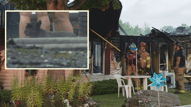 Hero dog saves family after a fire broke out at a Frederick County, Maryland home early Monday morning, Aug. 15, 2022. (Photo: 7News)